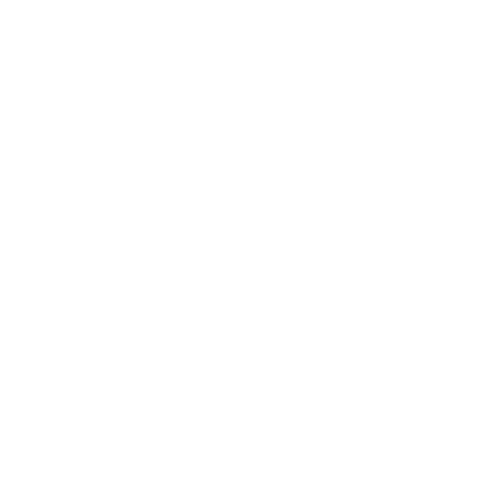bmwlogo
